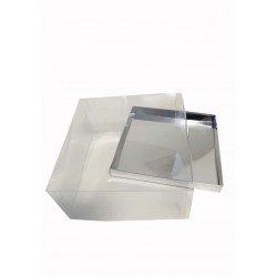 Коробка "Акваріум" срібло, 170*170*80мм