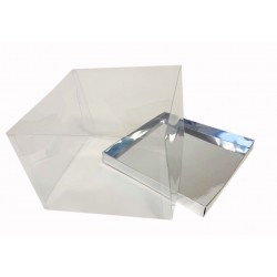 Коробка "Акваріум" срібло, 170*170*120мм