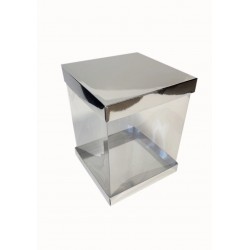 Коробка "Панорама" срібло, 200*200*250