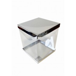 Коробка "Панорама" срібло, 170*170*200